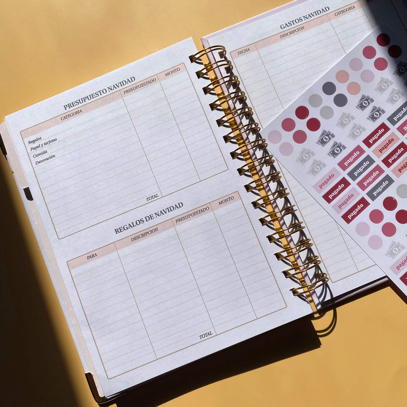 Planner de Finanzas 2025 - Colorblock