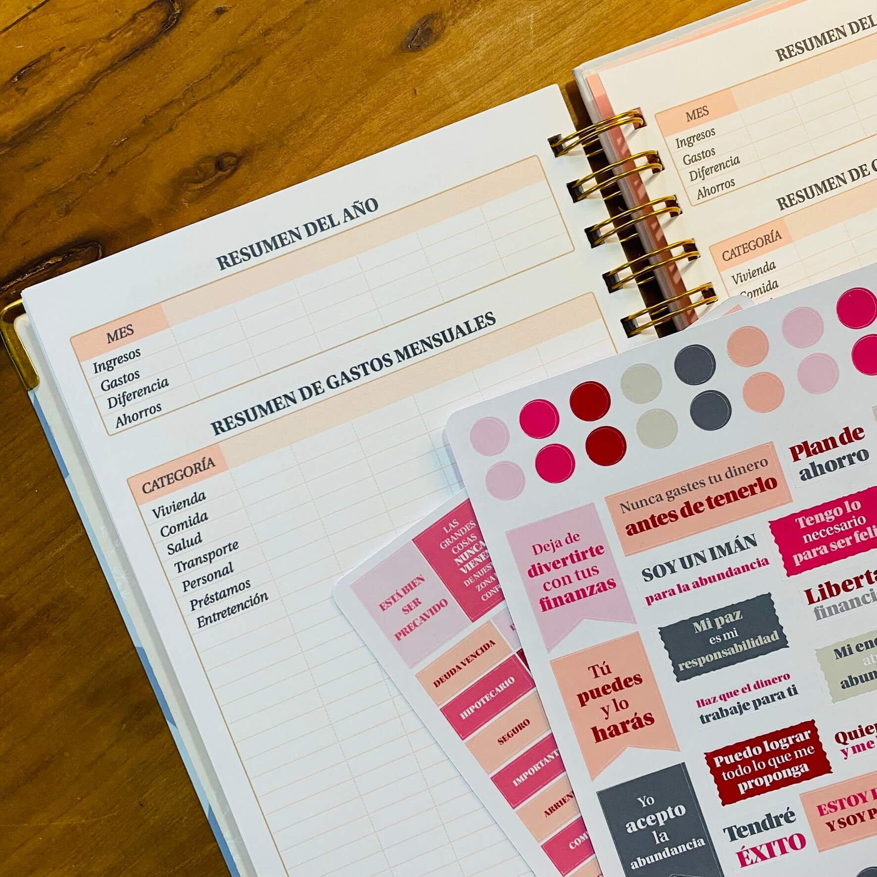 Planner de Finanzas 2025 - Colorblock