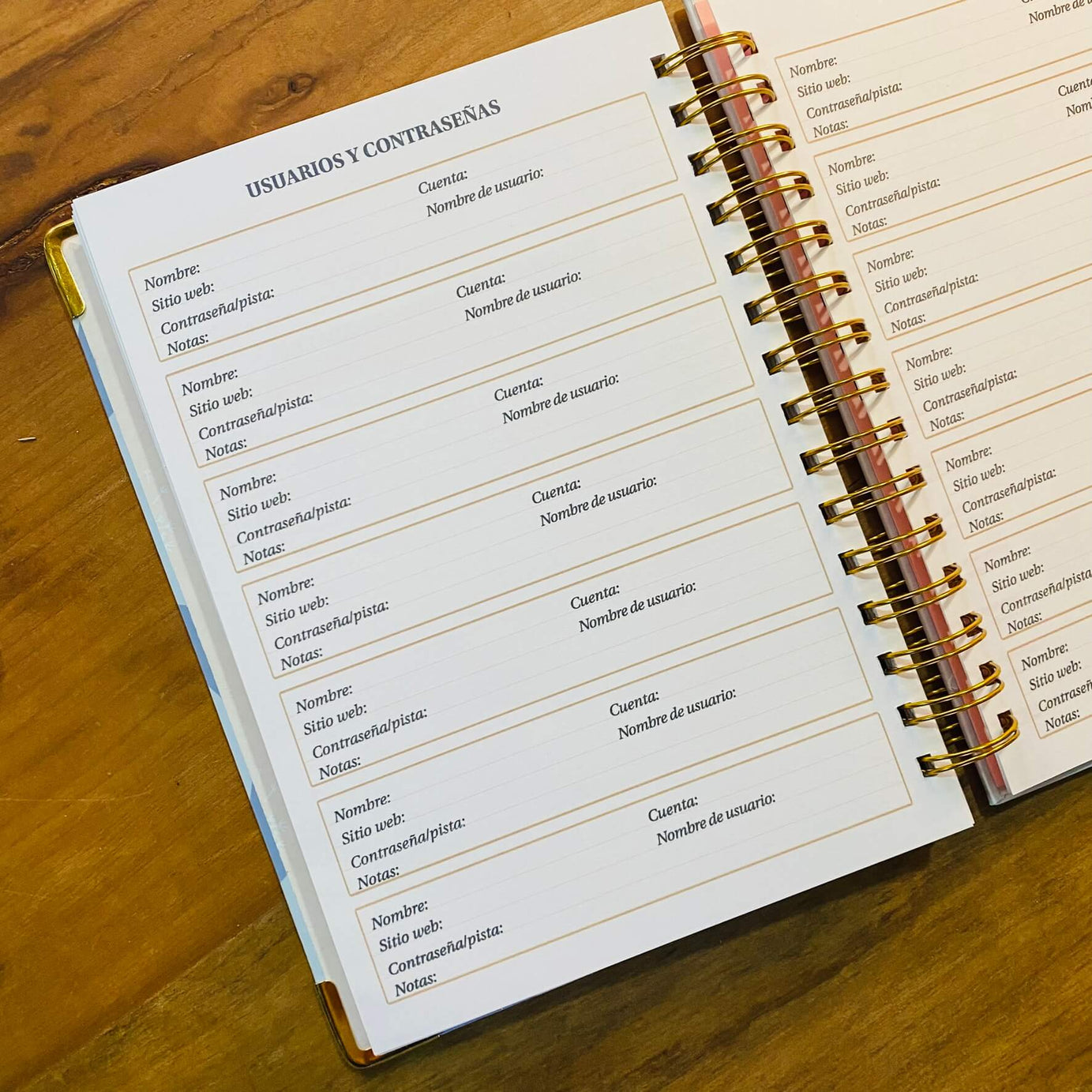 Planner de Finanzas 2025 - Colorblock