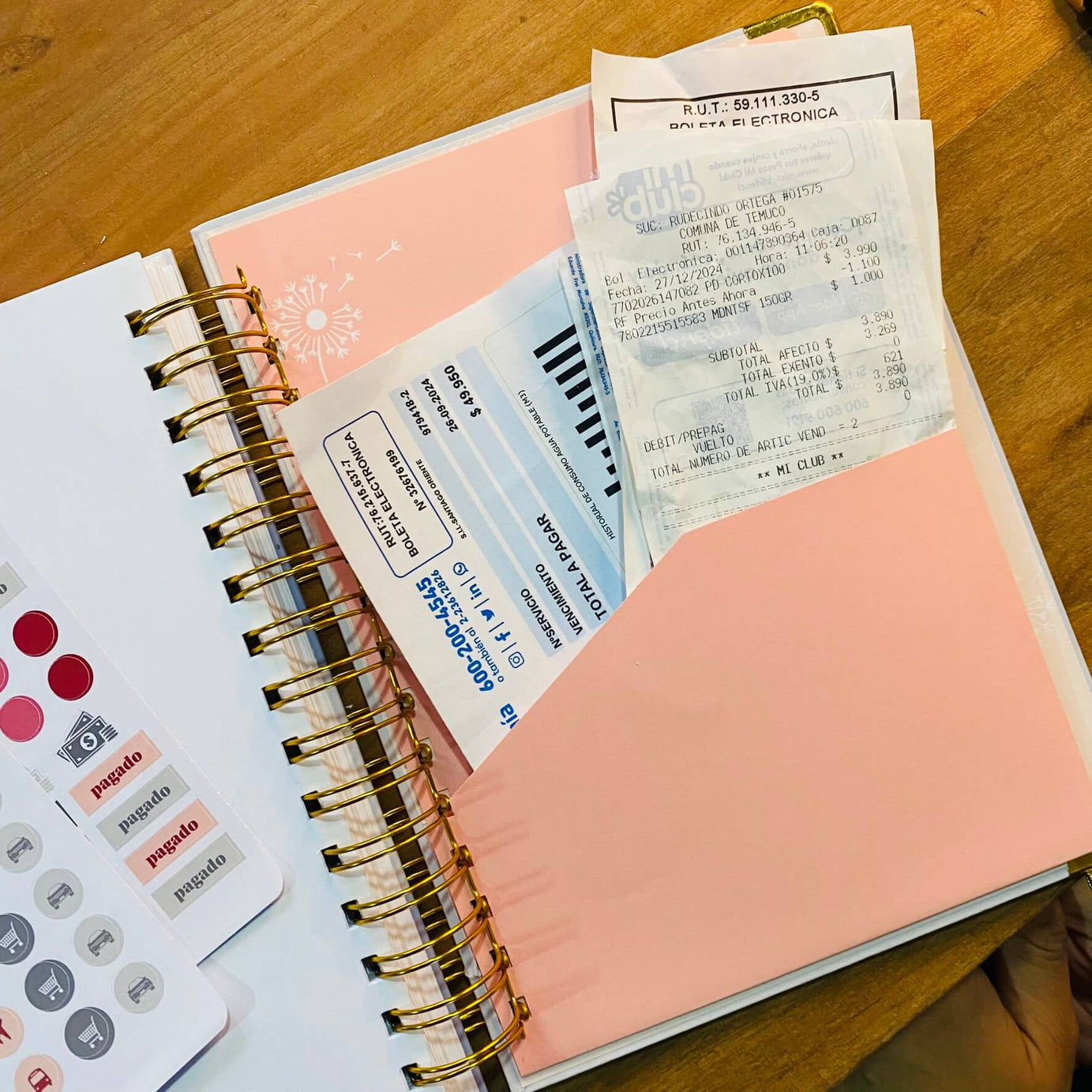 Planner de Finanzas 2025 - Colorblock