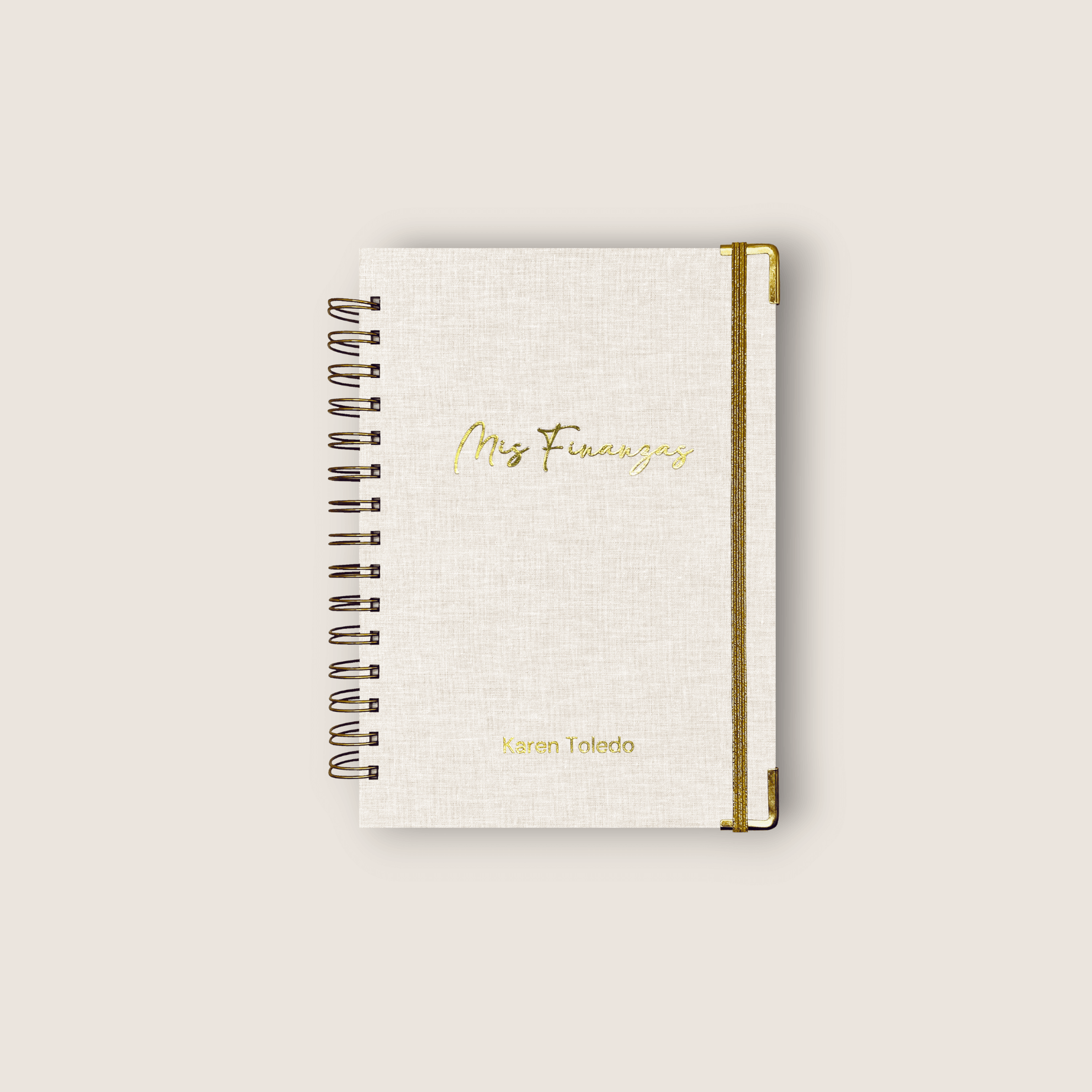 Planner de Finanzas 2025 - Fabric