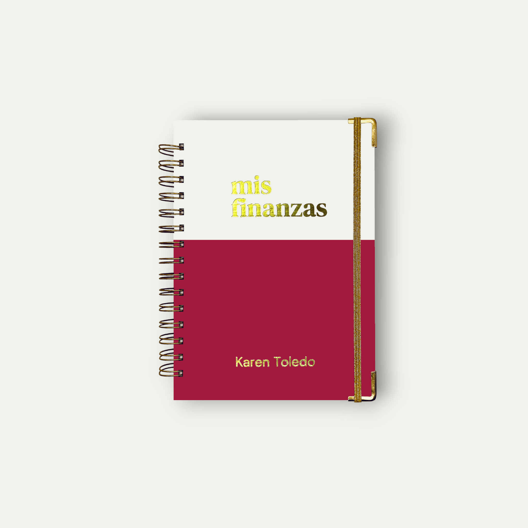 Planner de Finanzas 2025 - Colorblock