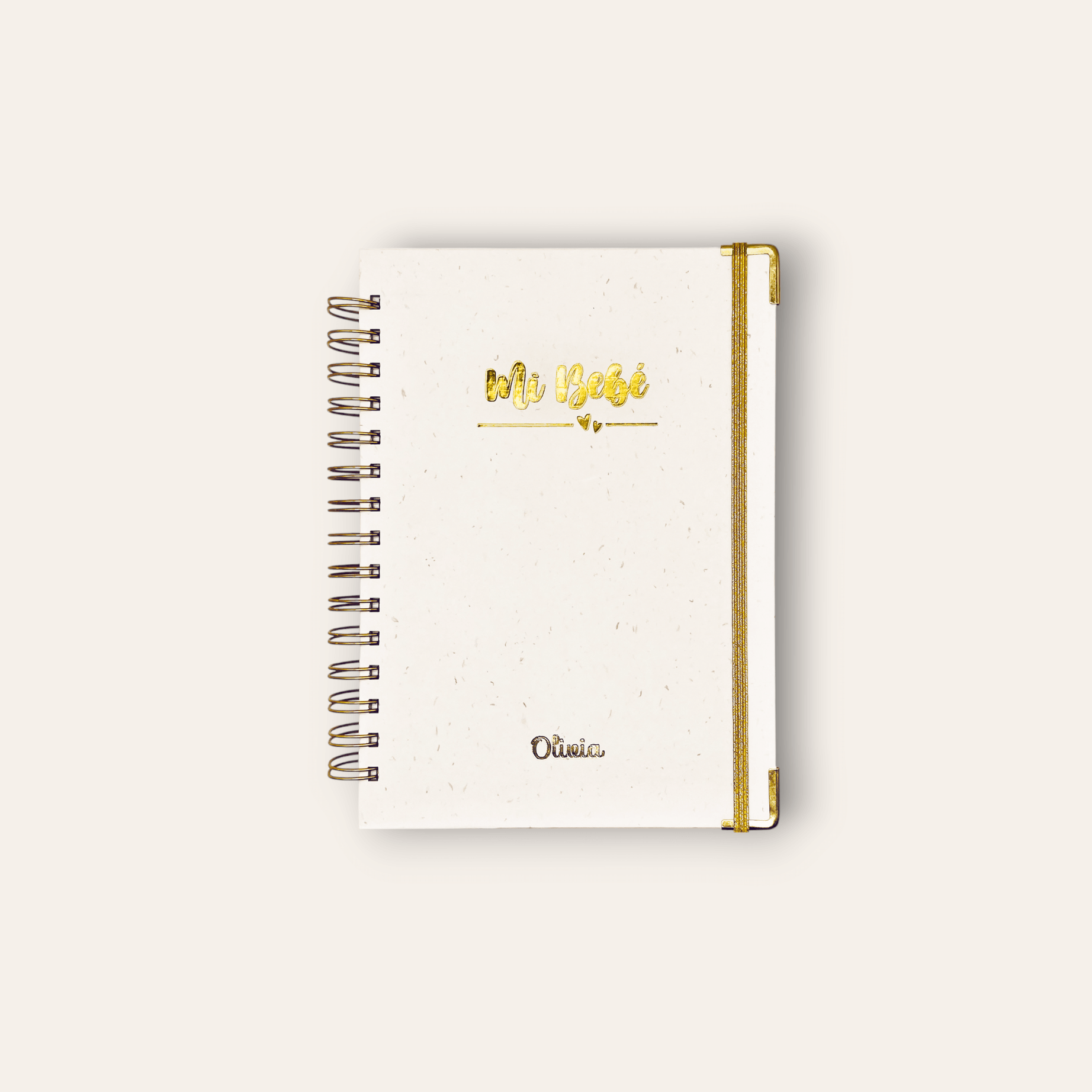 Diario Único Mi Bebé