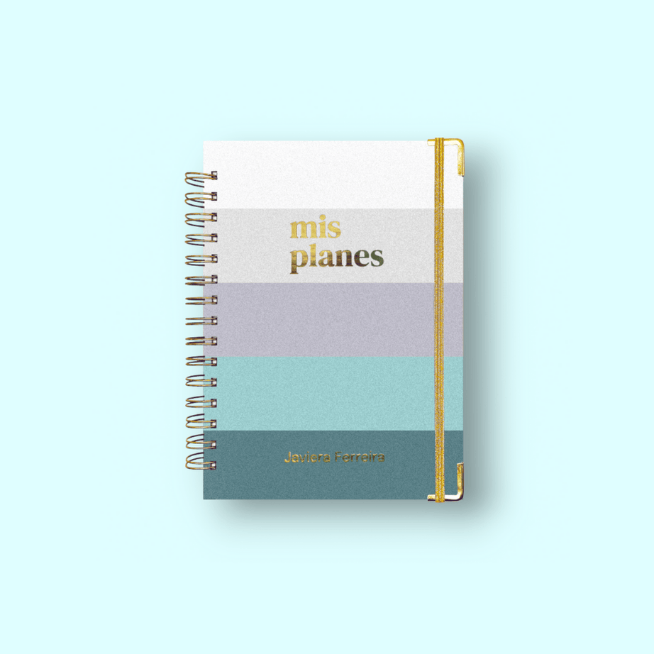 Planner Diario Mis Planes | Palette