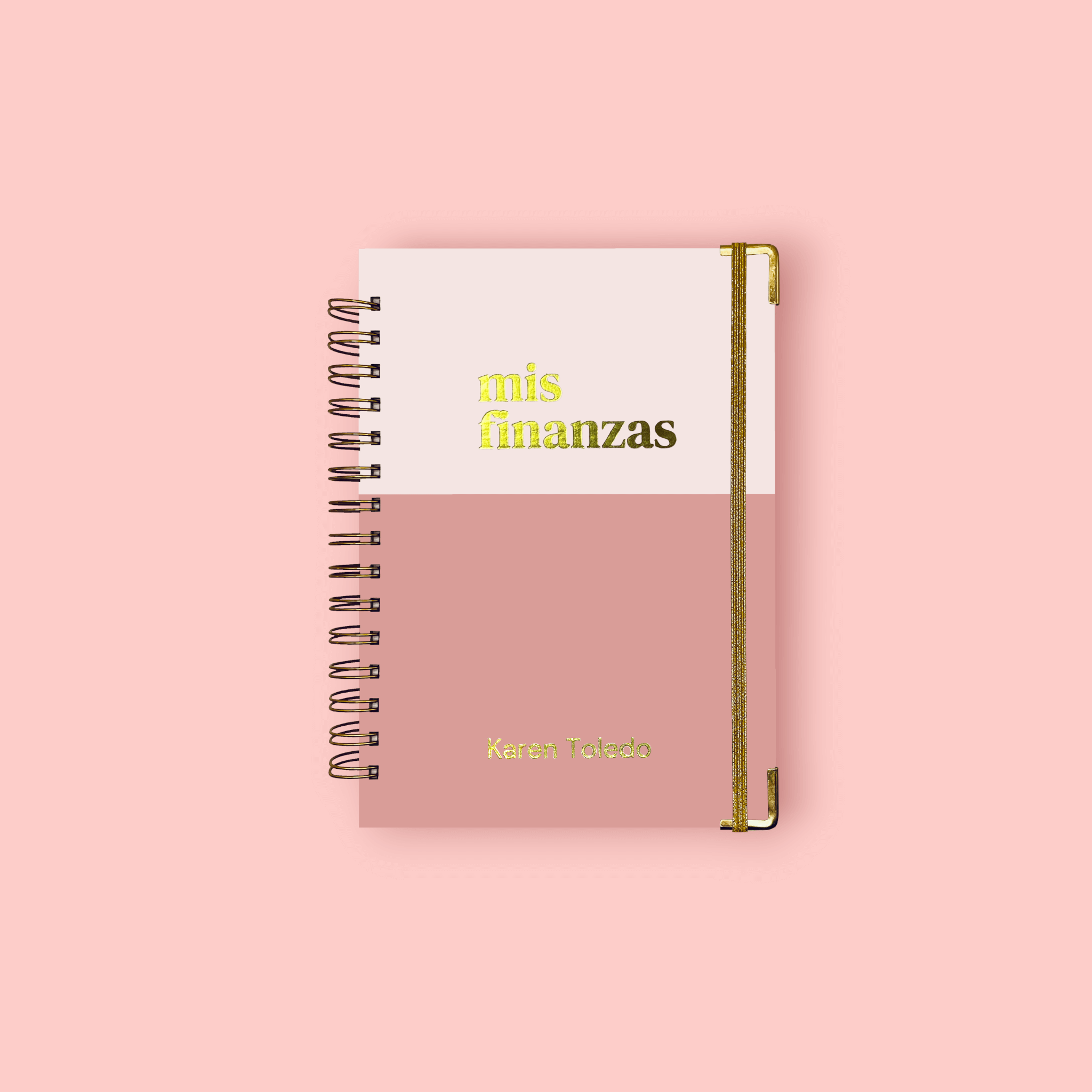 Planner de Finanzas 2025 - Colorblock