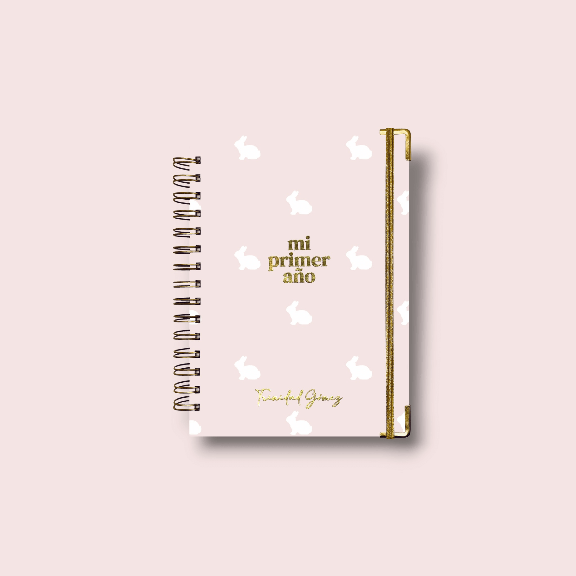 Diario Único Mi Primer Año - Hop