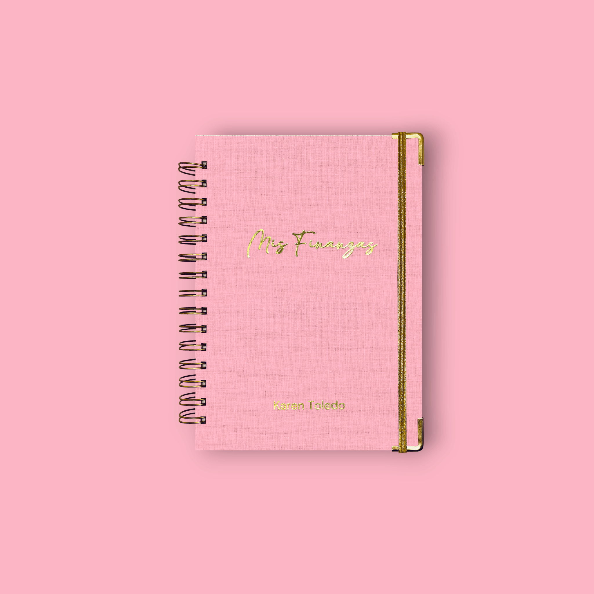 Planner de Finanzas 2025 - Fabric