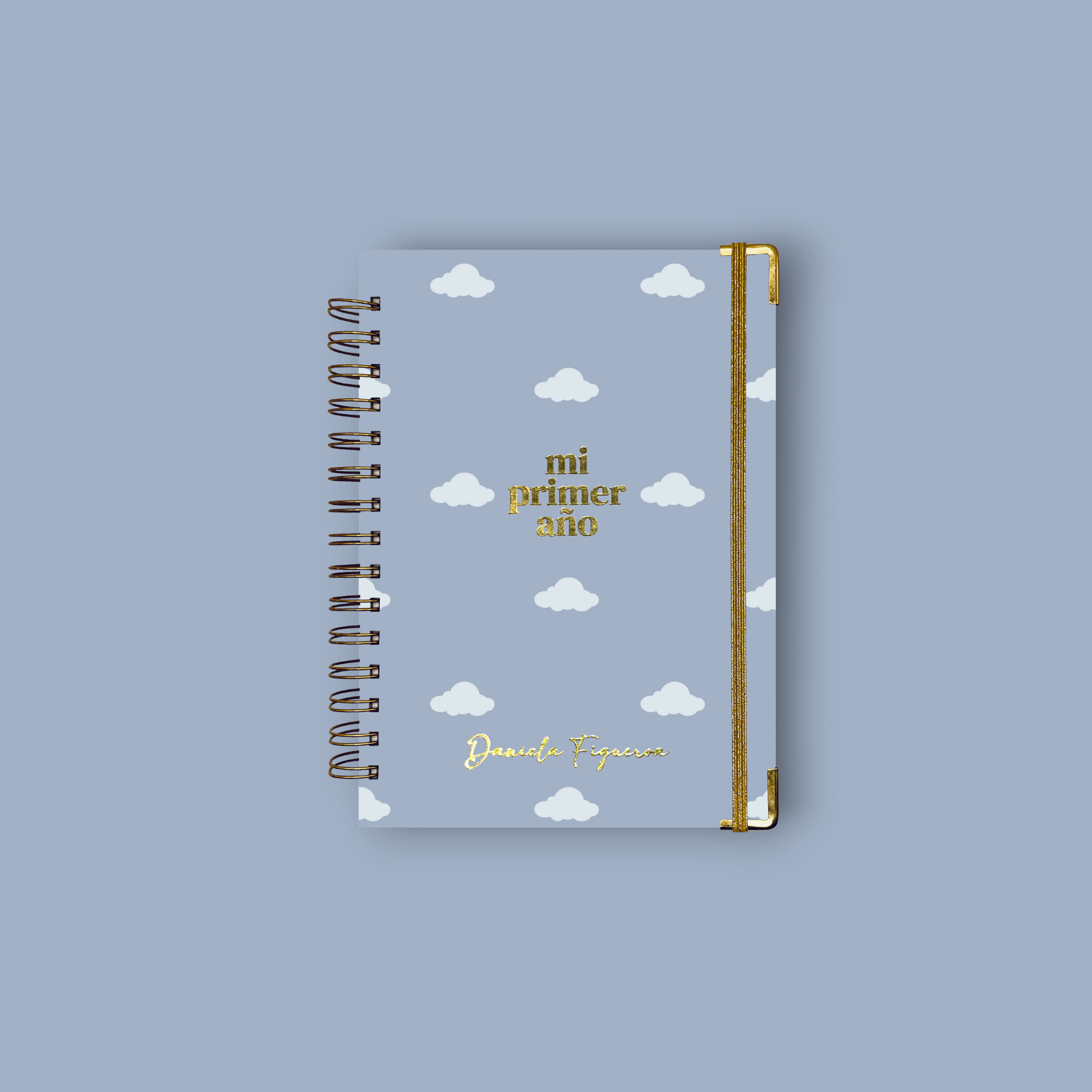 Diario Único Mi Primer Año - Bliss