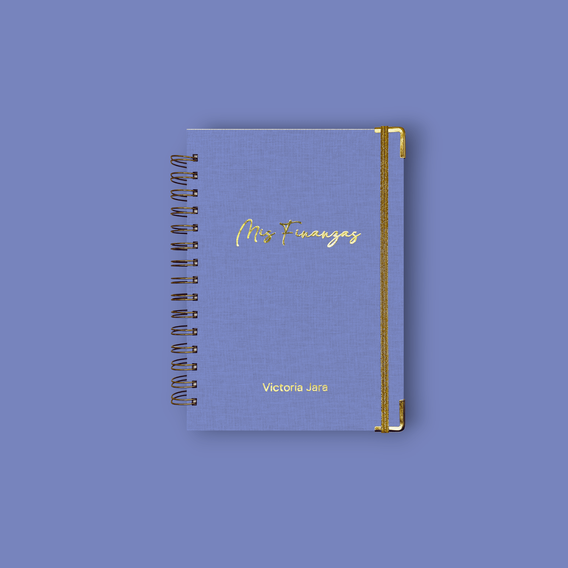 Planner de Finanzas 2025 - Fabric