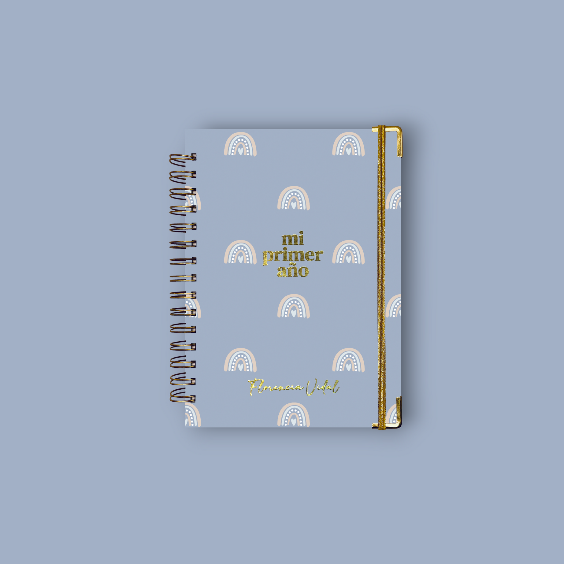 Diario Único Mi Primer Año - Joy