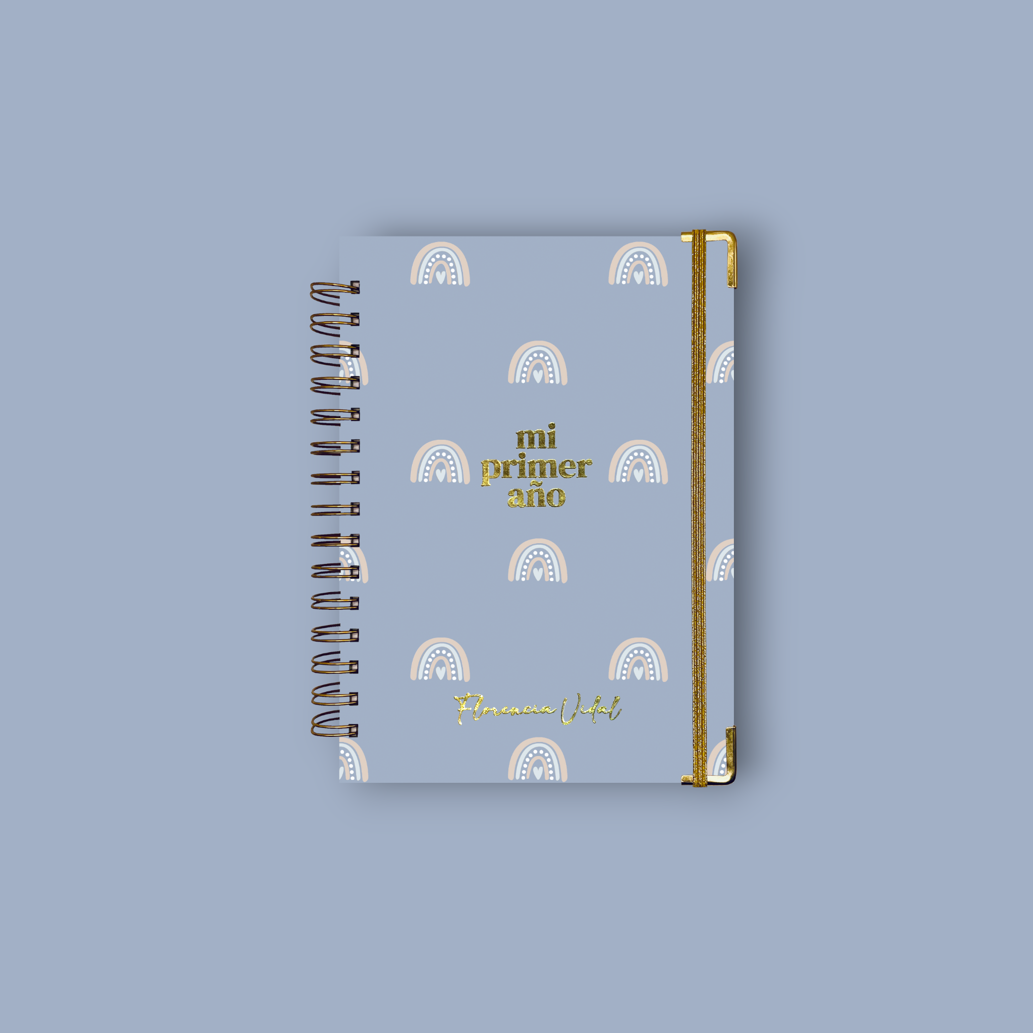 Diario Único Mi Primer Año - Joy