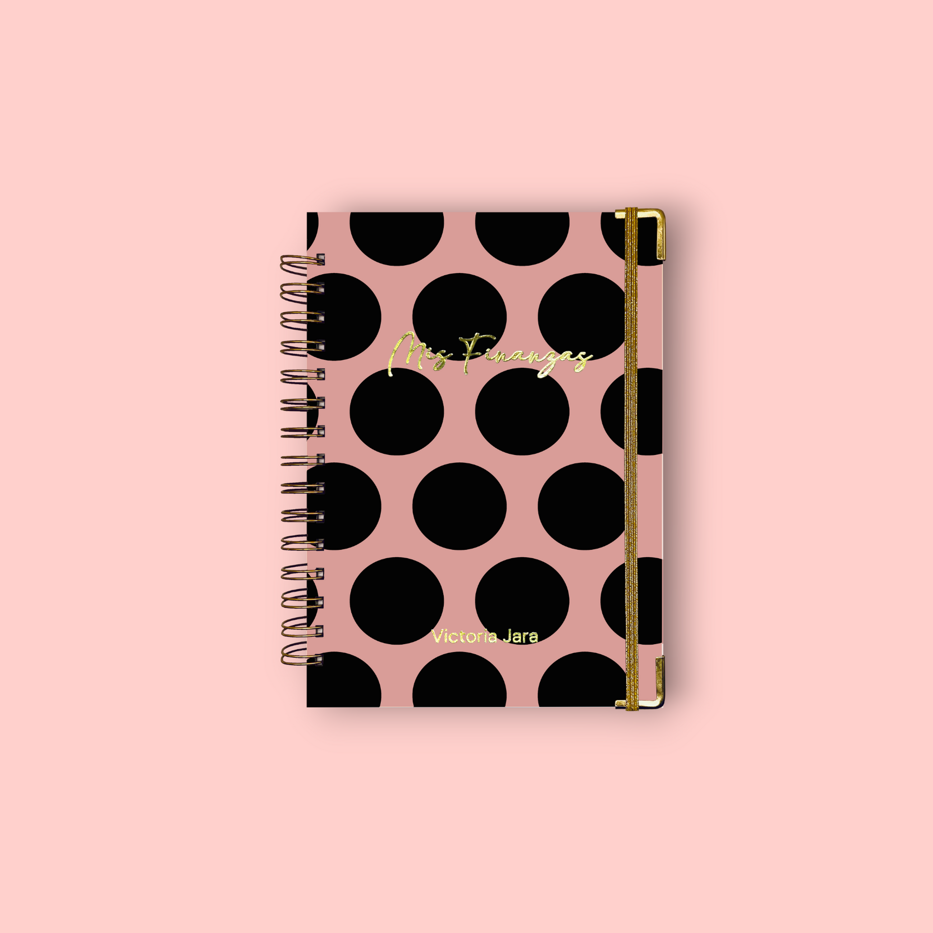 Planner de Finanzas 2025 - Dots